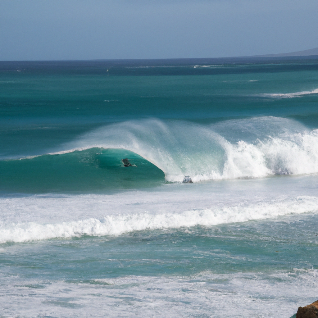 Surfing in Grotto Beach