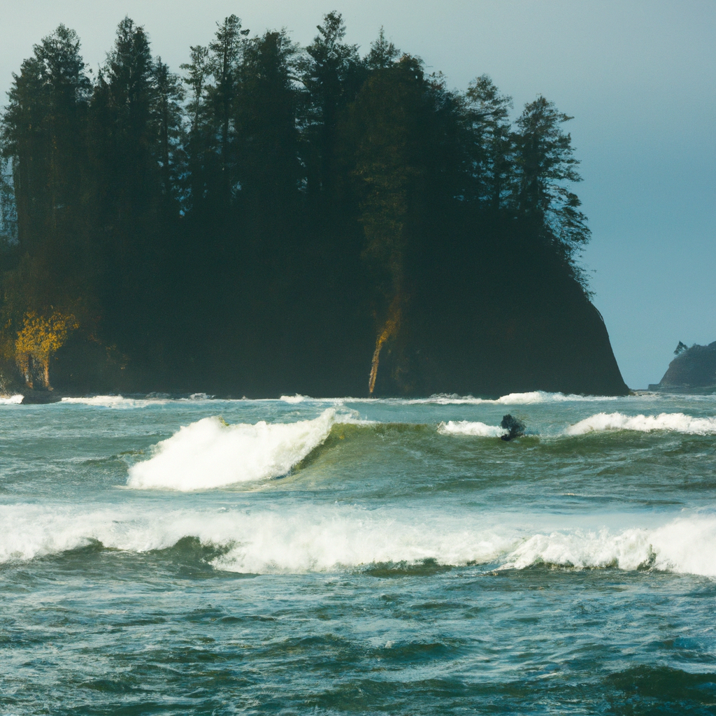 Surfing in La Push - First Beach
