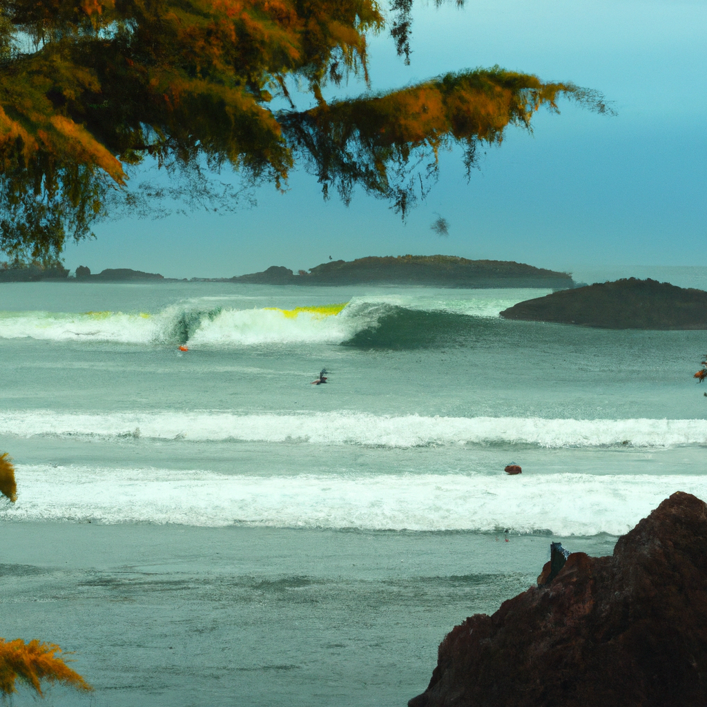 Surfing in Westport