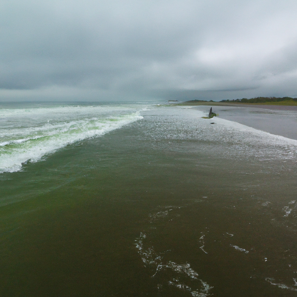 Surfing in Long Beach Peninsula