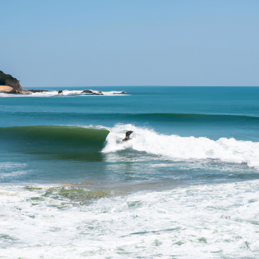 Surfing in Praia de Bacutia
