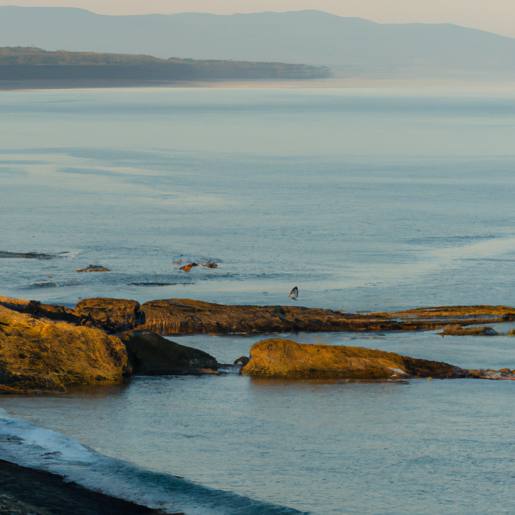 Explore Washington Surf Travel Guides | Surf Travel Blog