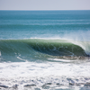 Surfing in Garden