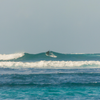 Surfing in Kottey