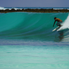 Surfing in Eedhigali Kilhi