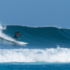 Surfing in Tsunami's