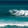 Surfing in Mushrooms