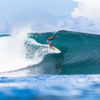 Surfing in Gurus