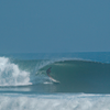 Surfing in Honky's