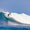 Surfing in Lohi's