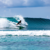 Surfing in Pasta Point