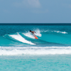Surfing in Komandoo