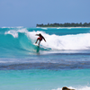 Surfing in Gurus