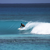 Surfing in Gasfinolhu