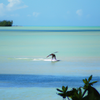 Surfing in Bantayan Island