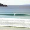 Surfing in Kingfisher