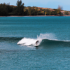 Surfing in Saud Beach