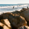 Surfing in Pebble Beach