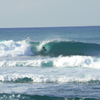 Surfing in Zamboanguita