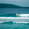 Surfing in Dahican Beach