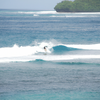 Surfing in Stimpy's