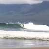 Surfing in Liwliwa
