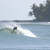 Surfing in San Felipe
