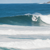 Surfing in Avoca Beach