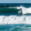 Surfing in Forresters Beach