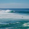 Surfing in Wamberal Beach