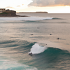 Surfing in Bondi Beach