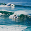 Surfing in Maroubra Beach