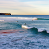 Surfing in Mona Vale Beach