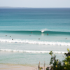 Surfing in Noosa Heads