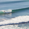Surfing in Christies Beach
