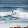 Surfing in Port Elliot