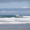 Surfing in Scamander Beach