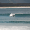 Surfing in Marion Bay