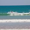 Surfing in Cable Beach