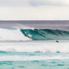 Surfing in Grunters