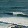 Surfing in Main Break