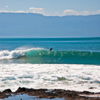 Surfing in Zancudo