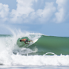 Surfing in Silverbacks