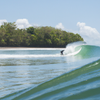 Surfing in Wizard Beach