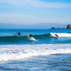 Surfing in La Grande Plage