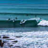 Surfing in Parlementia