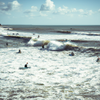 Surfing in La Tranche-sur-Mer
