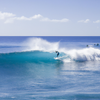 Surfing in Corralejo