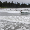Surfing in Long Beach
