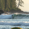 Surfing in Sombrio Beach